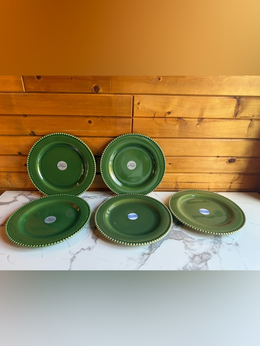 Green Beaded Rim Ceramic Dinner Plates - Set of 5